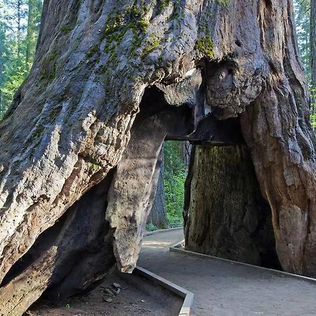 Villa Lakeside BLS Retreat near Big Trees&Bear Valley Arnold Exterior foto